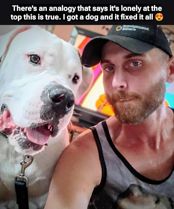 There's an analogy that says it's lonely at the top this is true. I got a dog and it fixed it all 😍