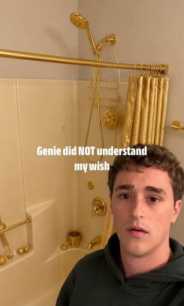 Genie did NOT understand my wish