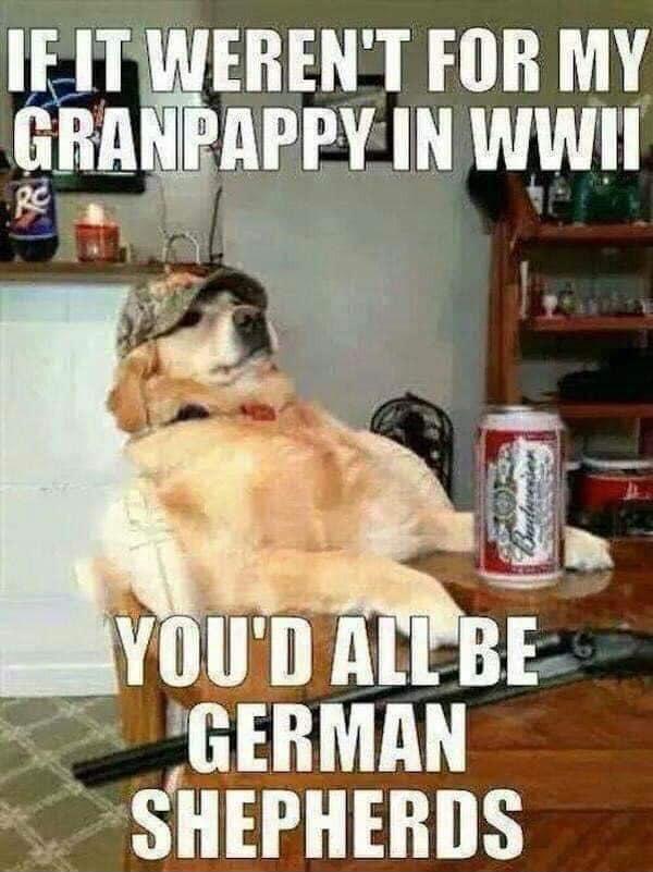 IEITWERENT FOR MY GRANPAPPY IN W GERMAN SHEPHERDS