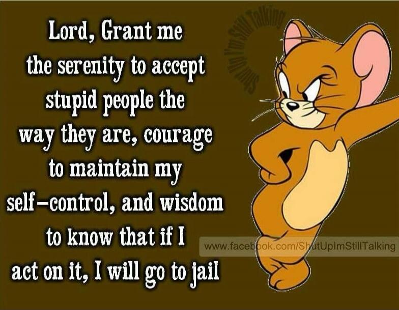 Lord, grant me the serenity to accept stupid people the way they are, courage to maintain my self-control, and wisdom to know that if I act on it, I will go to jail