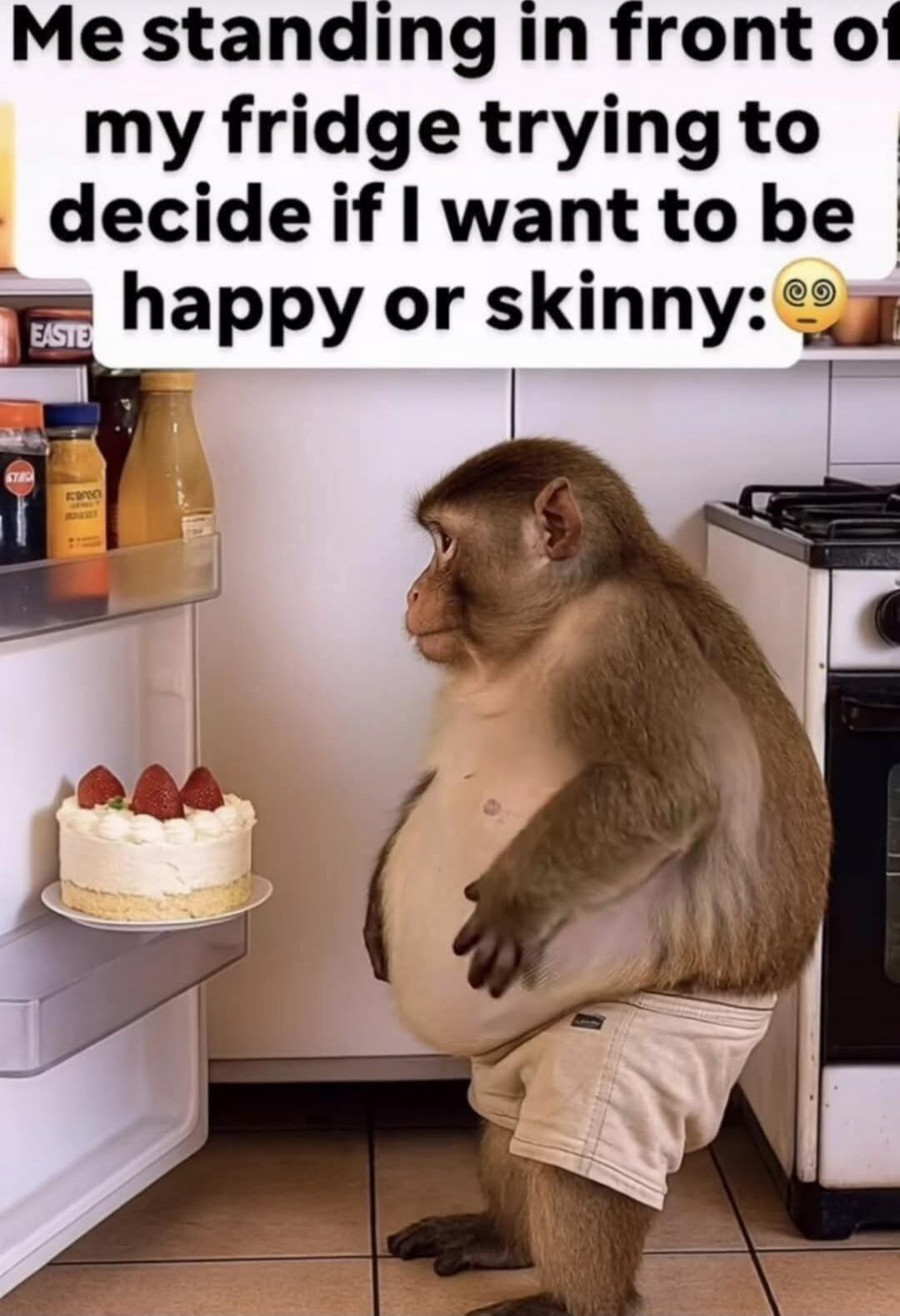 Me standing in front of my fridge trying to decide if I want to be happy or skinny: 😳