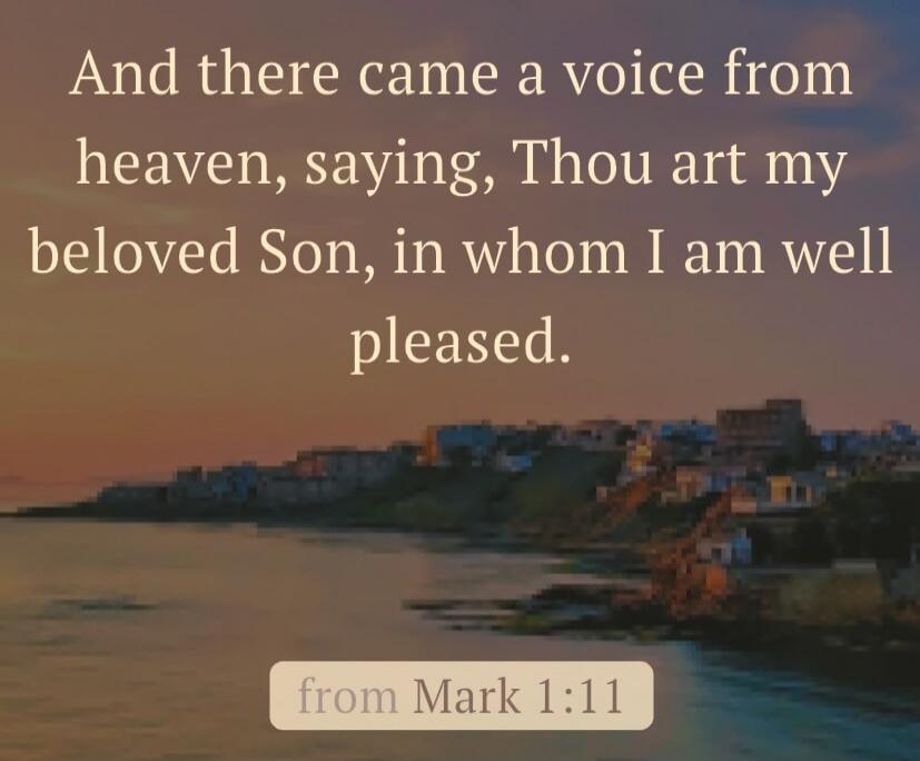 And there came a voice from heaven, saying, Thou art my beloved Son, in whom I am well pleased. from Mark 1:11