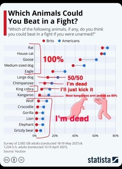 Fixed it Which Animals Could You Beat in a Fight Americans Rat House cat o Goose Mediumssi e Sl e Gorilla o statista