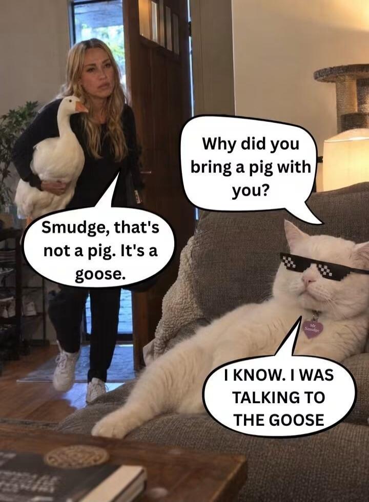 Why did you bring a pig with you? Smudge, that's not a pig. It's a goose. I know. I was talking to the goose.