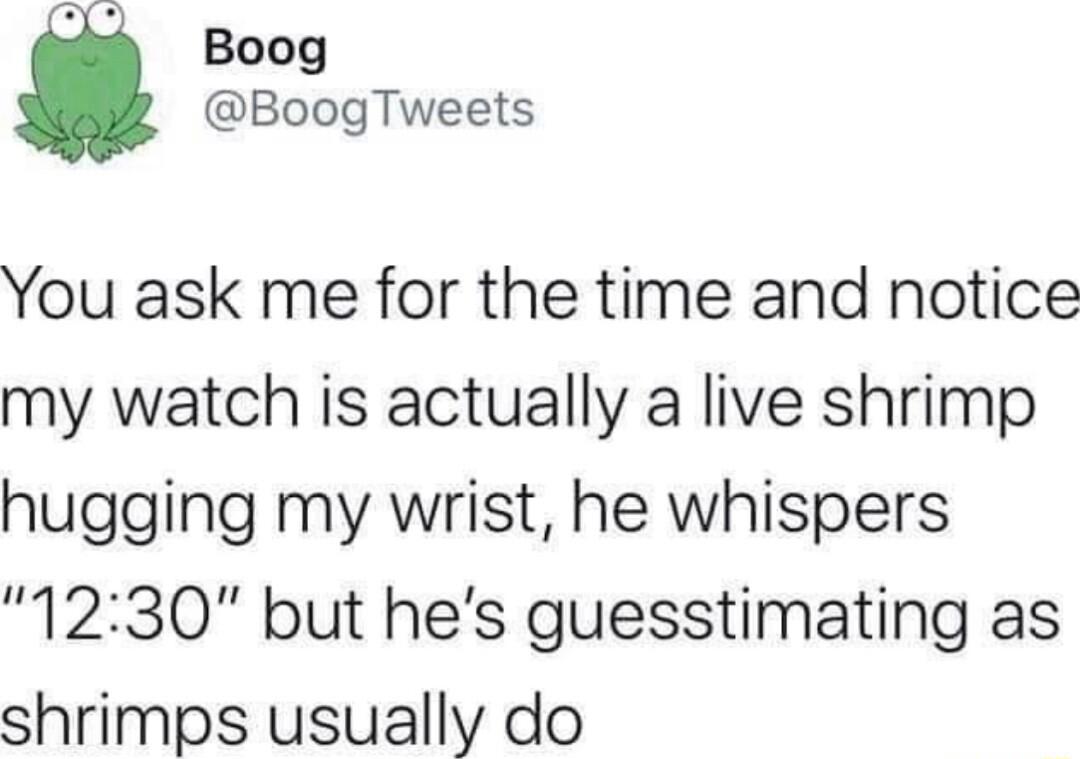 4 Boog BoogTweets You ask me for the time and notice my watch is actually a live shrimp hugging my wrist he whispers 1230 but hes guesstimating as shrimps usually do