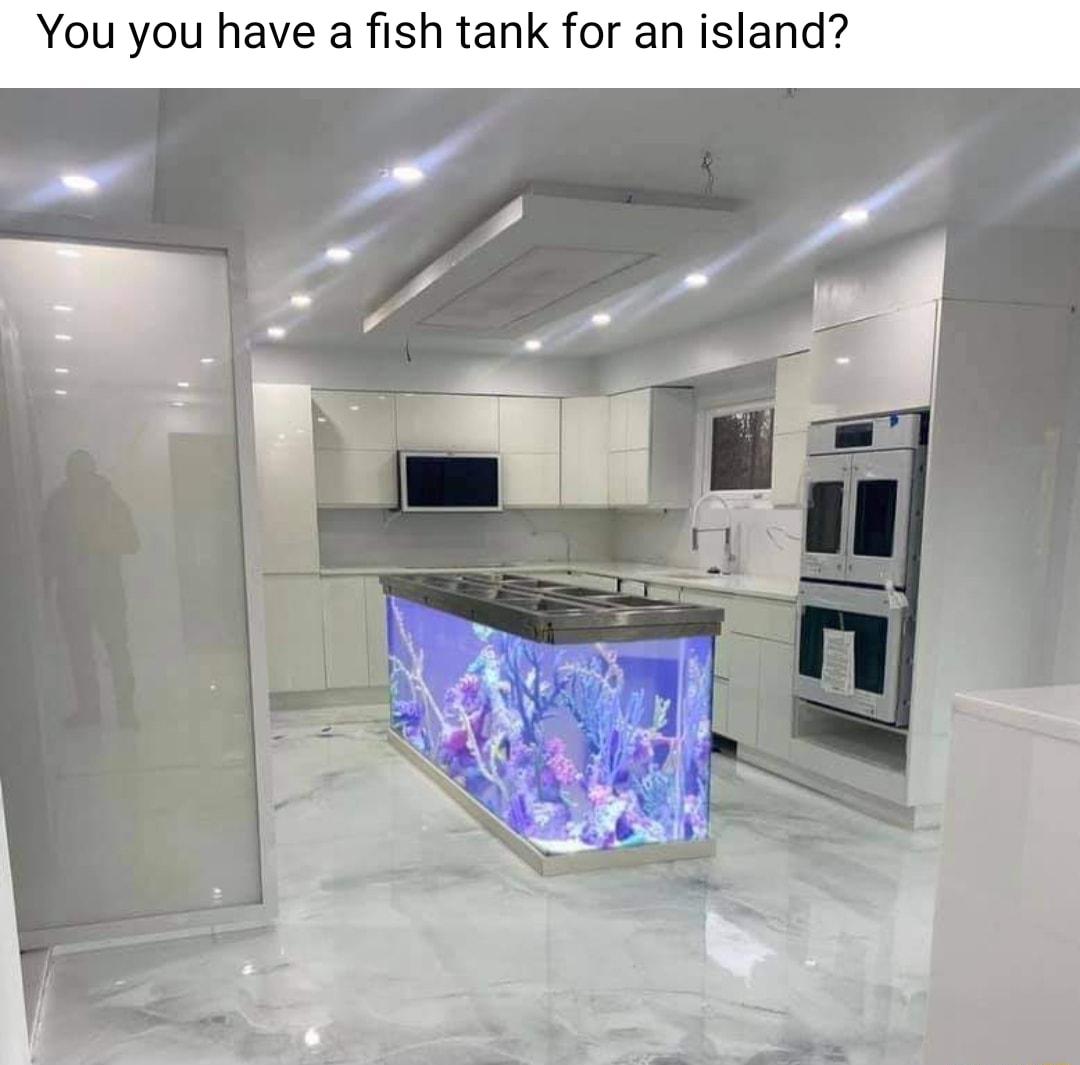 You you have a fish tank for an island