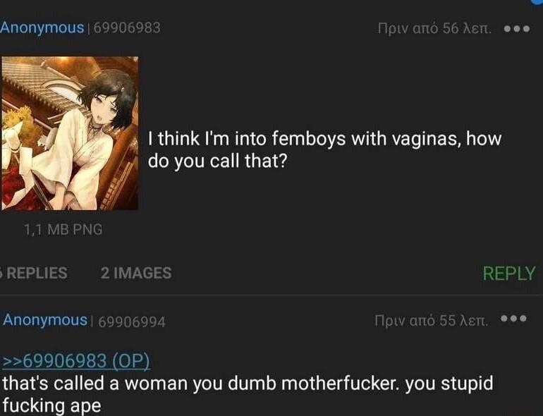 Anonymous oo think Im into femboys with vaginas how 4 do you call that Anonymous oee 69906983 OP thats called a woman you dumb motherfucker you stupid fuking are