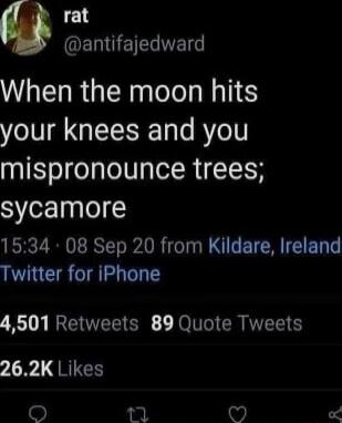 e EEMGEEEELS ULELRGER Nl your knees and you mispronounce trees SjYerclpgle 5 1534 08 Sep 20 from Kildare Ireland Twitter for iPhone 4501 Retweets 89 Quote Tweets 1 QRIS i 52 o