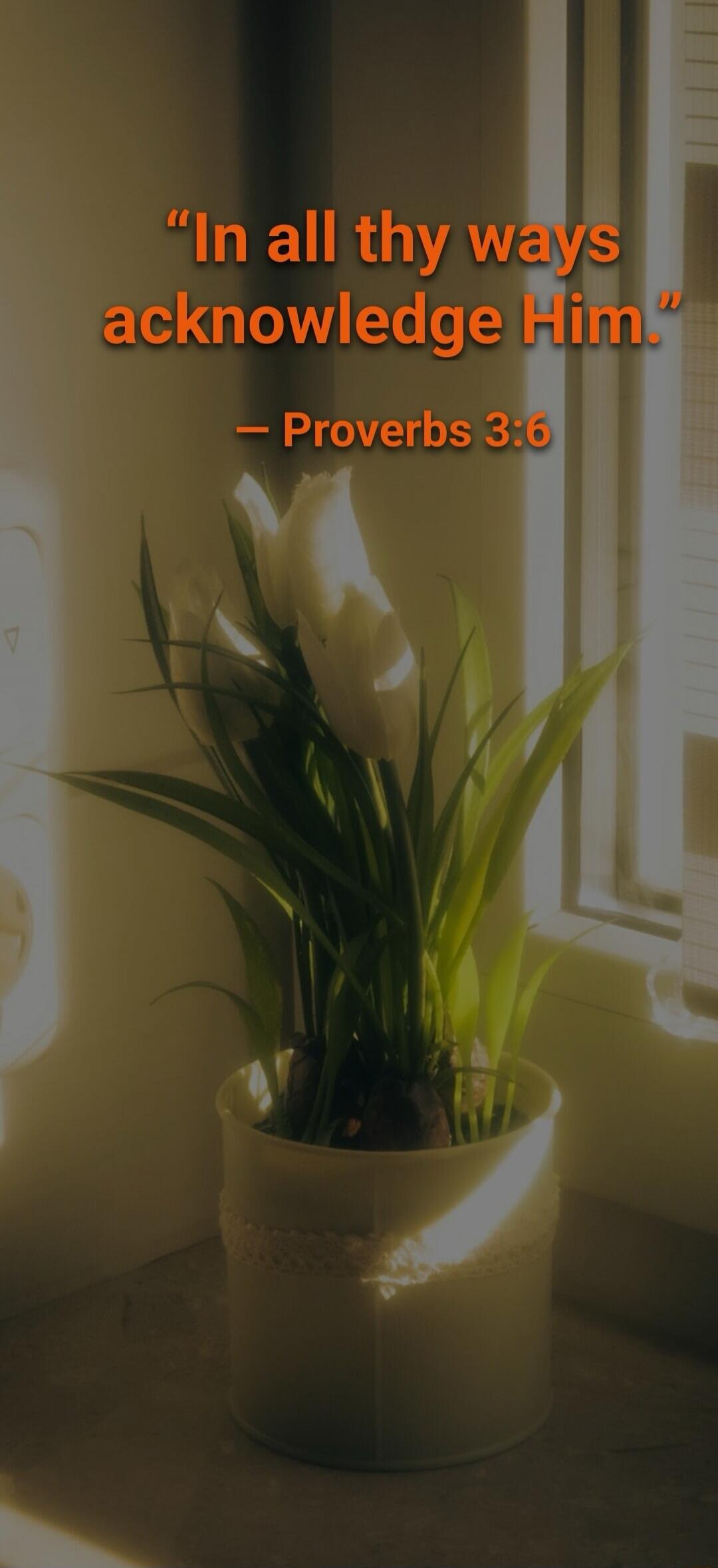 In all thy ways acknowledge Him. - Proverbs 3:6