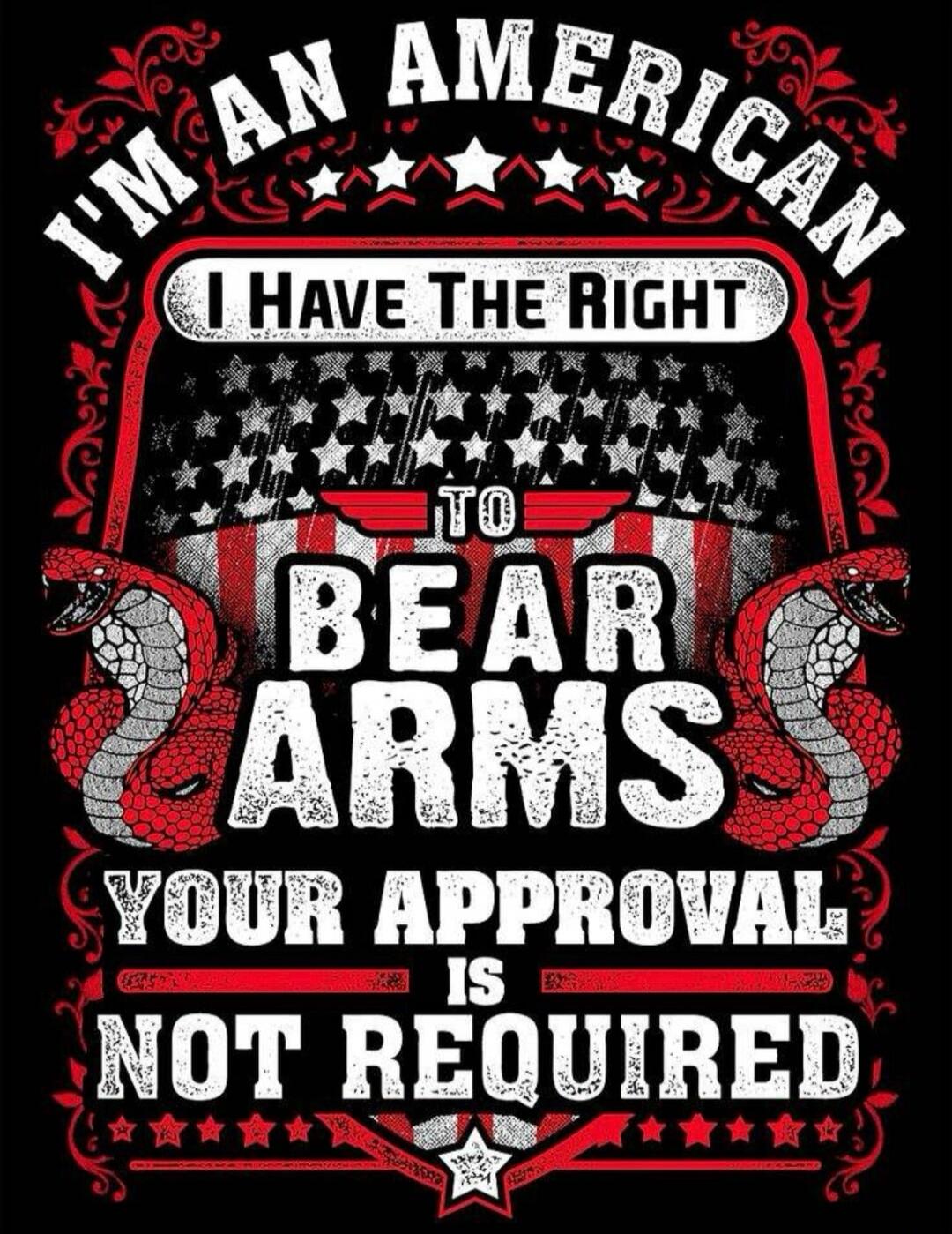 I'M AN AMERICAN I HAVE THE RIGHT TO BEAR ARMS YOUR APPROVAL IS NOT REQUIRED