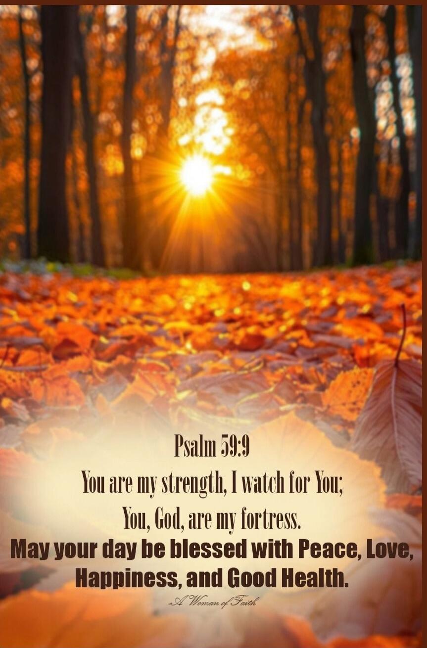 Psalm 59:9 You are my strength, I watch for You, You, God, are my fortress. May your day be blessed with Peace, Love, Happiness, and Good Health. A Woman of Faith