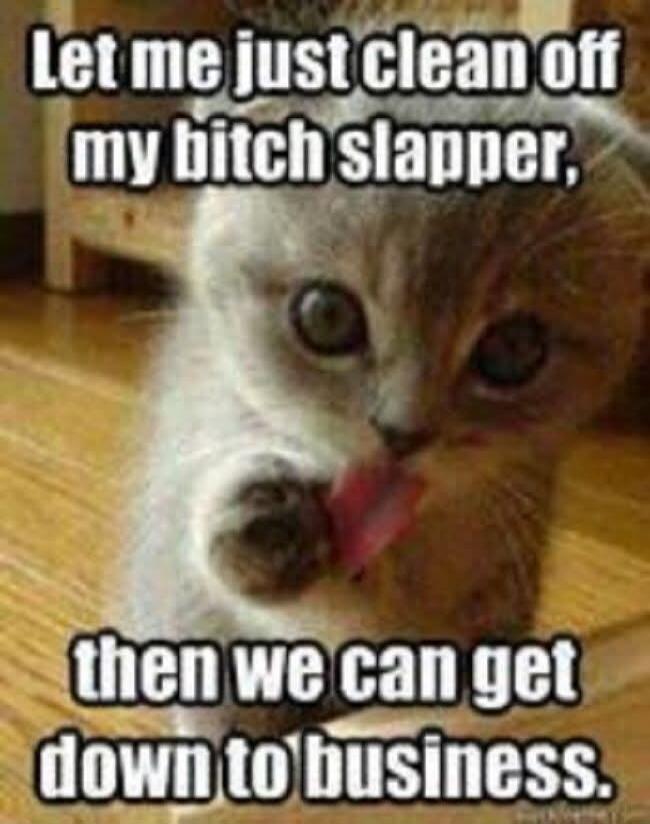 Let me just clean off my bitch slapper, then we can get down to business.