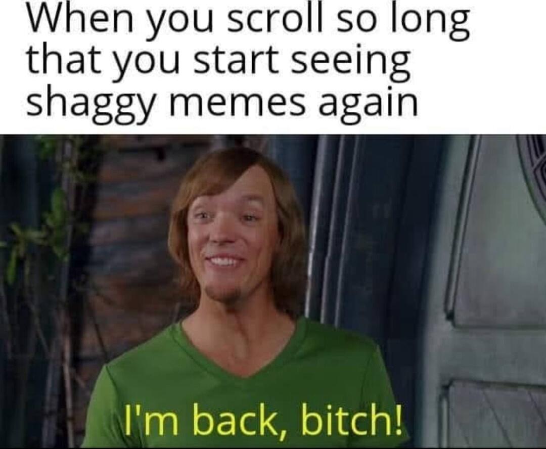 When you scroll so long that you start seeing shaggy memes again