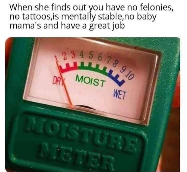 When she finds out you have no felonies no tattoosis mentally stableno baby mamas and have a great job