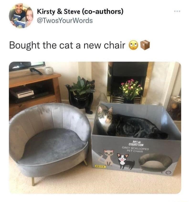 S Kirsty Steve co authors TwosYourWords Bought the cat a new chair