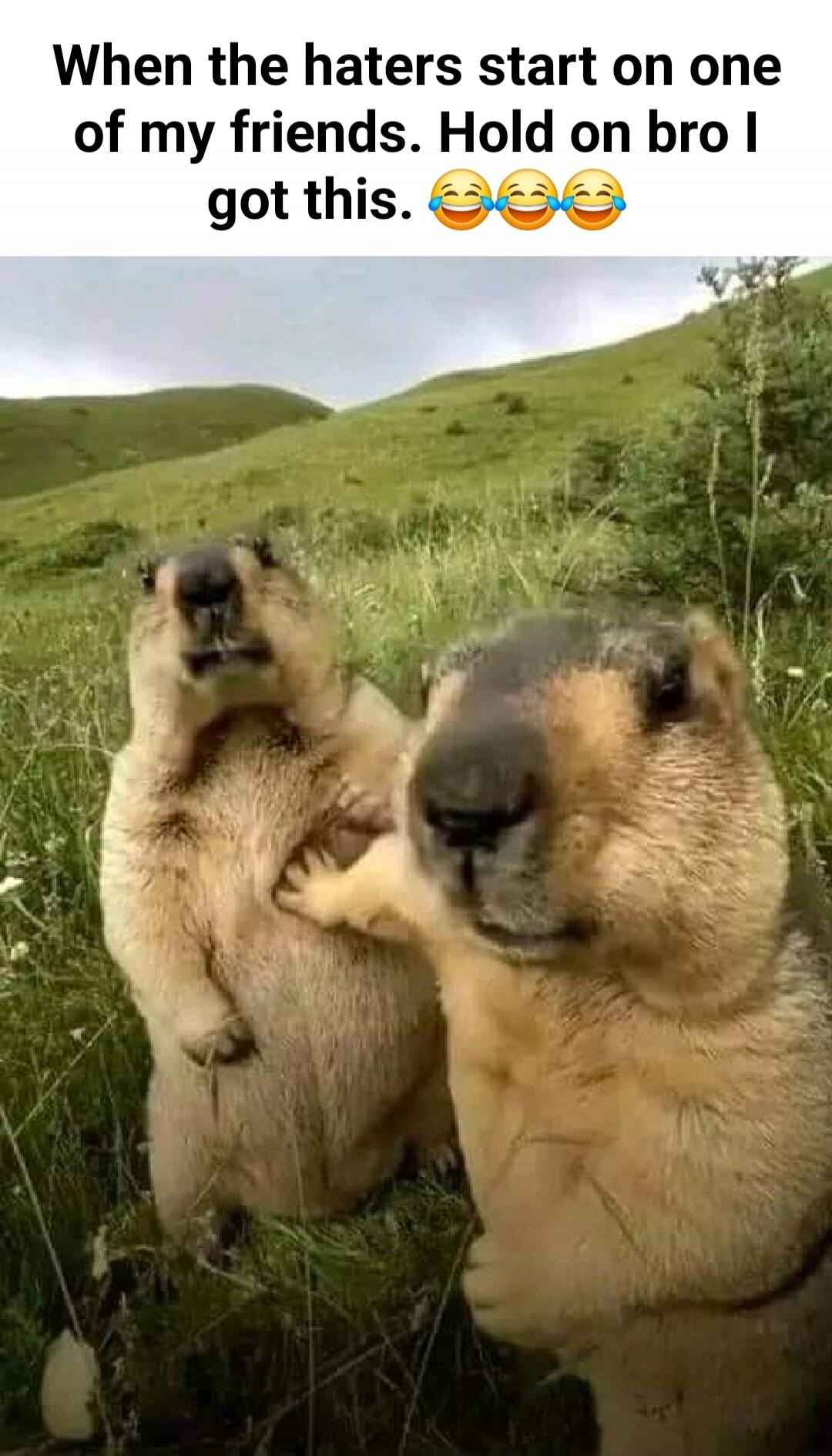 When the haters start on one of my friends. Hold on bro I got this. 😂😂😂