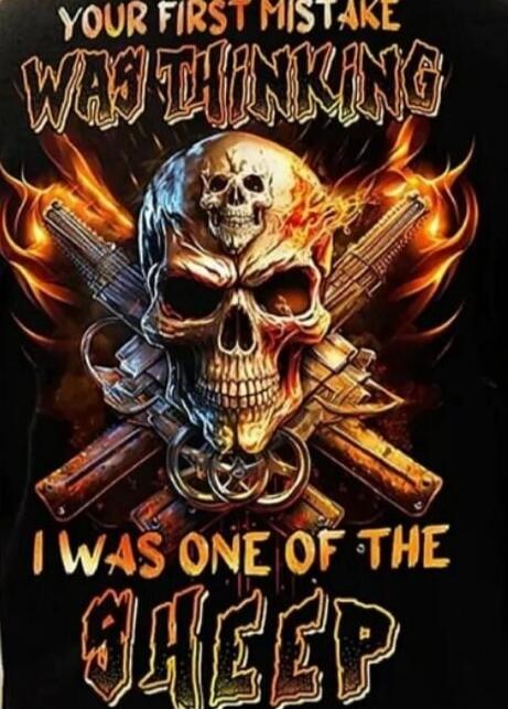 YOUR FIRST MISTAKE WAS THINKING I WAS ONE OF THE SHEEP