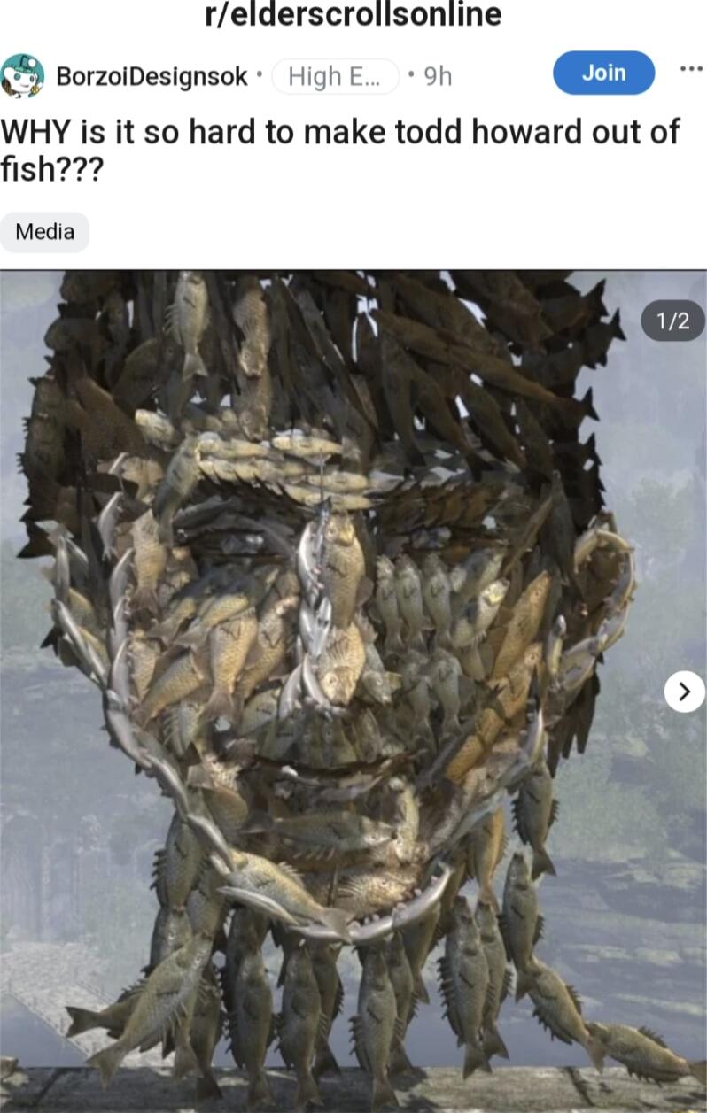 relderscrolisonline BorzolDesignsok High 9h HY is it so hard to make todd howard out of