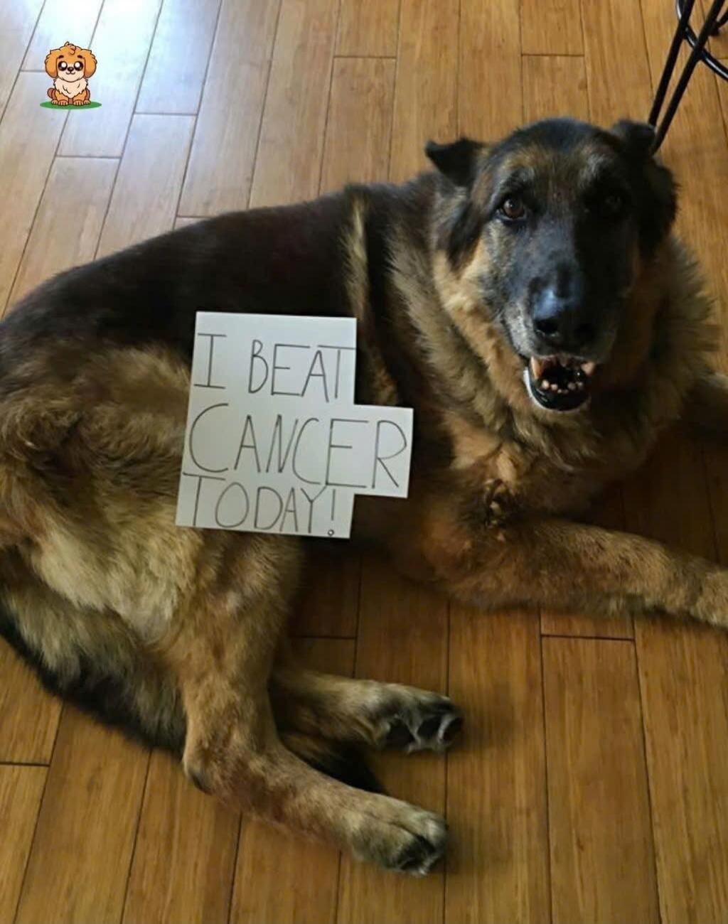 I BEAT CANCER TODAY!