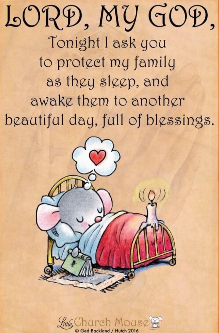 LORD, MY GOD, Tonight I ask you to protect my family as they sleep, and awake them to another beautiful day, full of blessings.