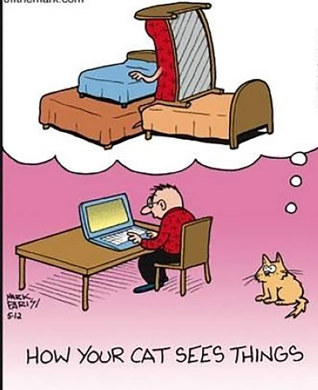 HOW YouR CAT SEES THINGS
