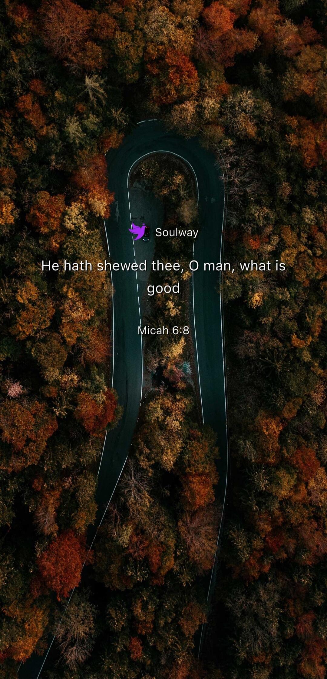 Soulway He hath shewed thee, O man, what is good Micah 6:8