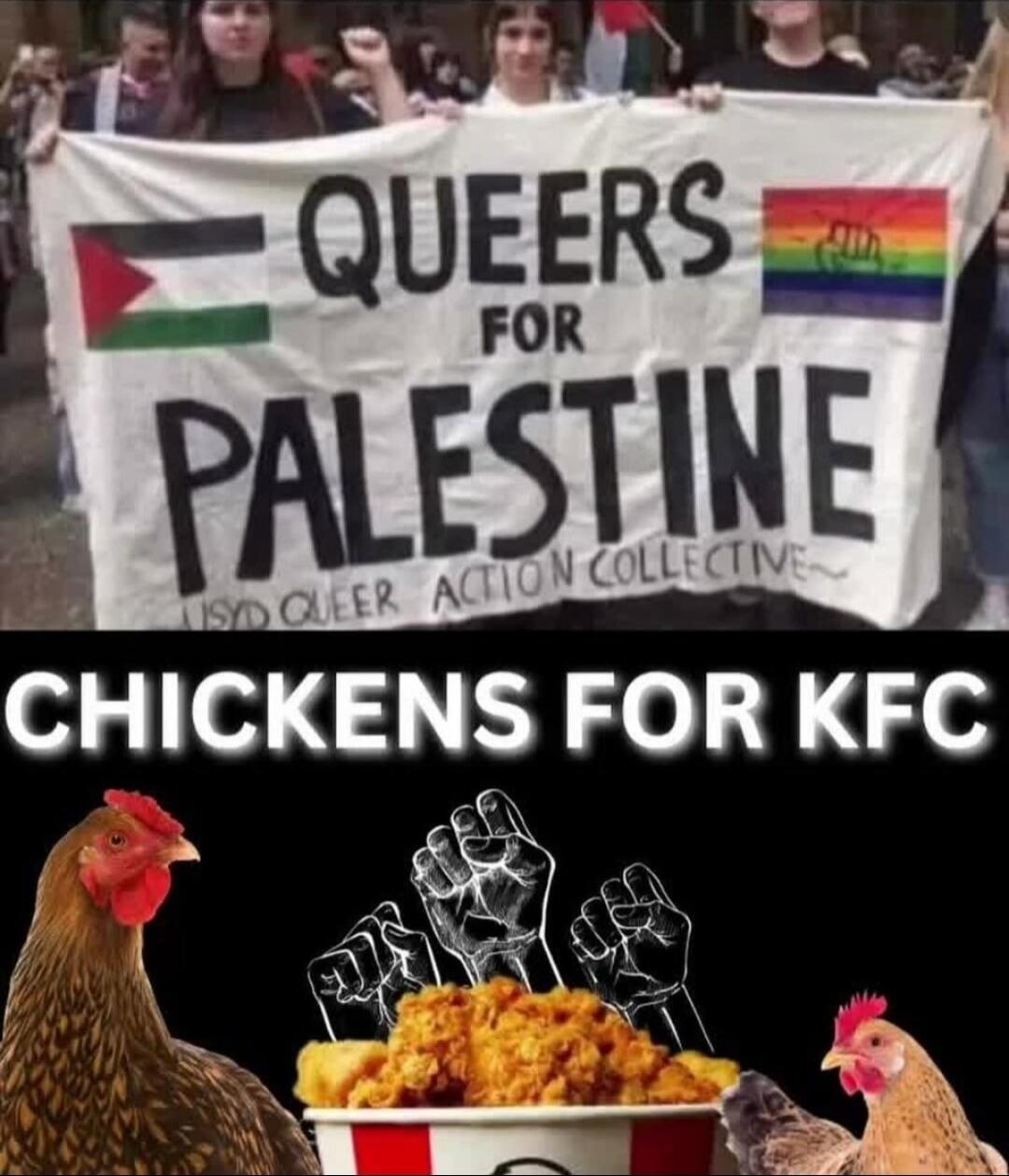 QUEERS FOR PALESTINE USYD QUEER ACTION COLLECTIVE CHICKENS FOR KFC