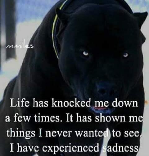 mmiles Life has knocked me down a few times. It has shown me things I never wanted to see. I have experienced sadness