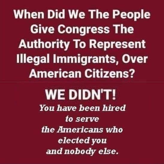 When Did We The People eTEN o T i T Authority To Represent lllegal Immigrants Over American Citizens WE DIDNT You have been hired to serve the Americans who elected you and nobody else