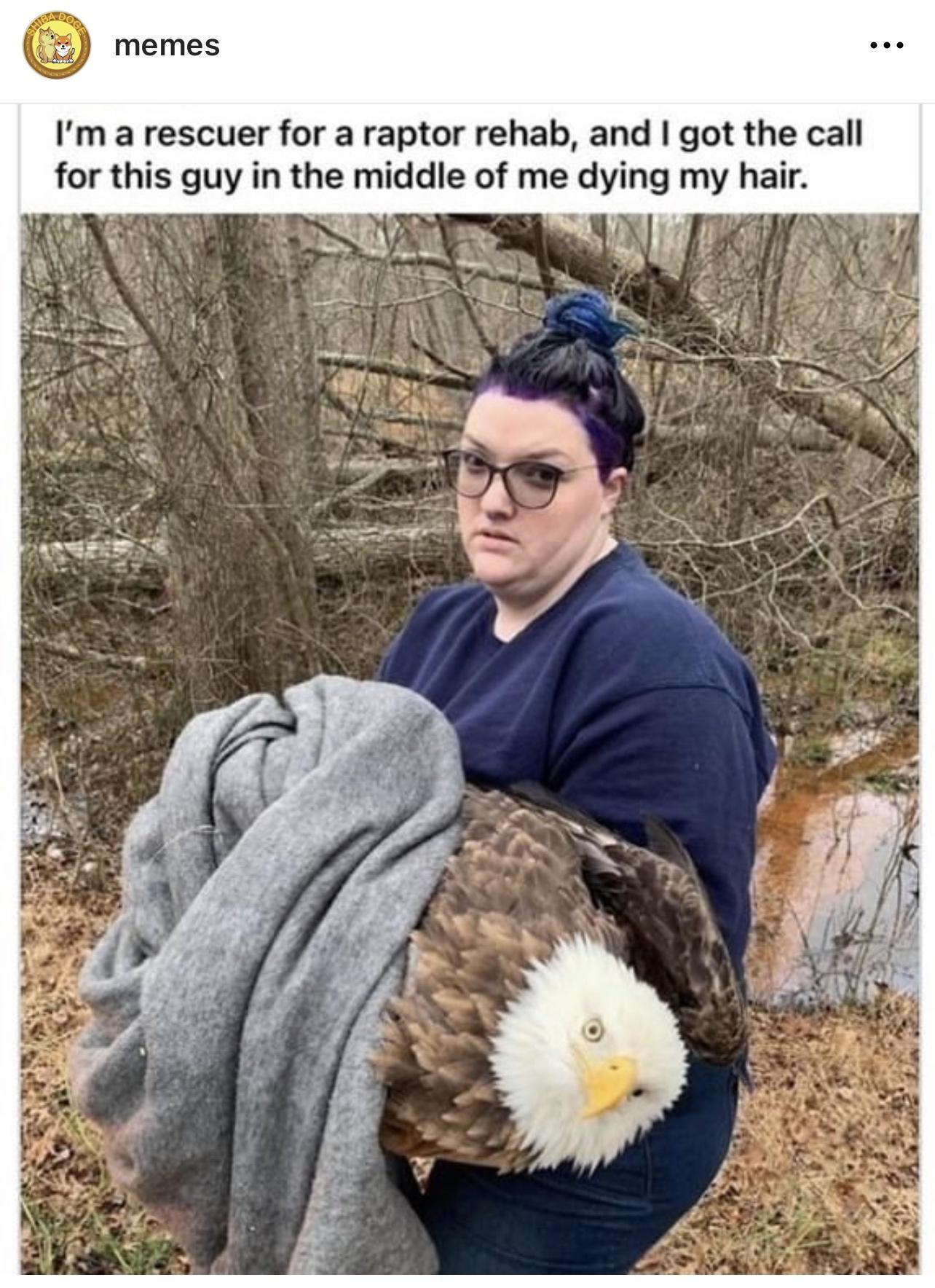 memes Im a rescuer for a raptor rehab and got the call for this guy in the middle of me dying my hair