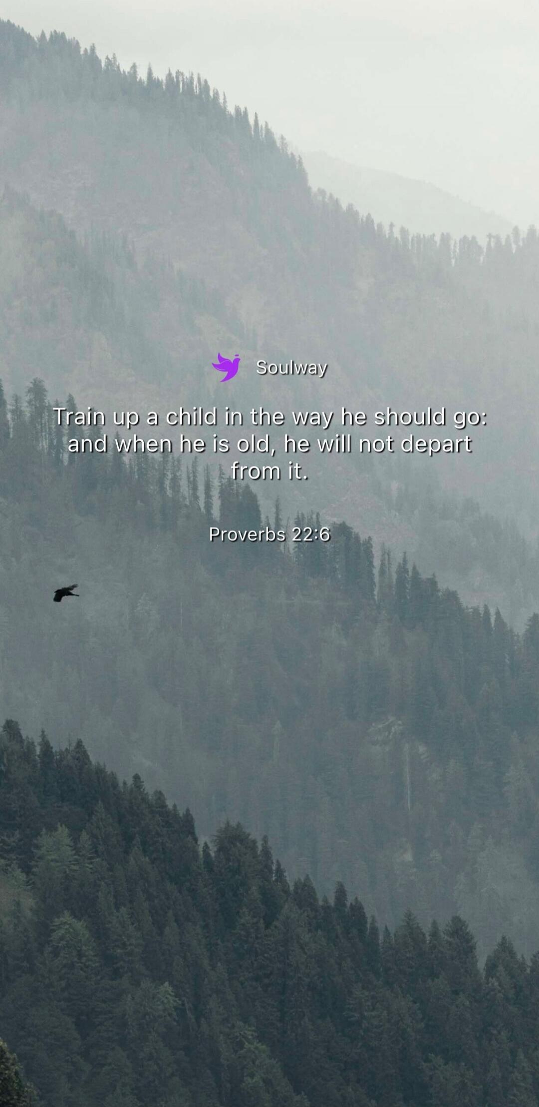 Soulway Train up a child in the way he should go: and when he is old, he will not depart from it. Proverbs 22:6
