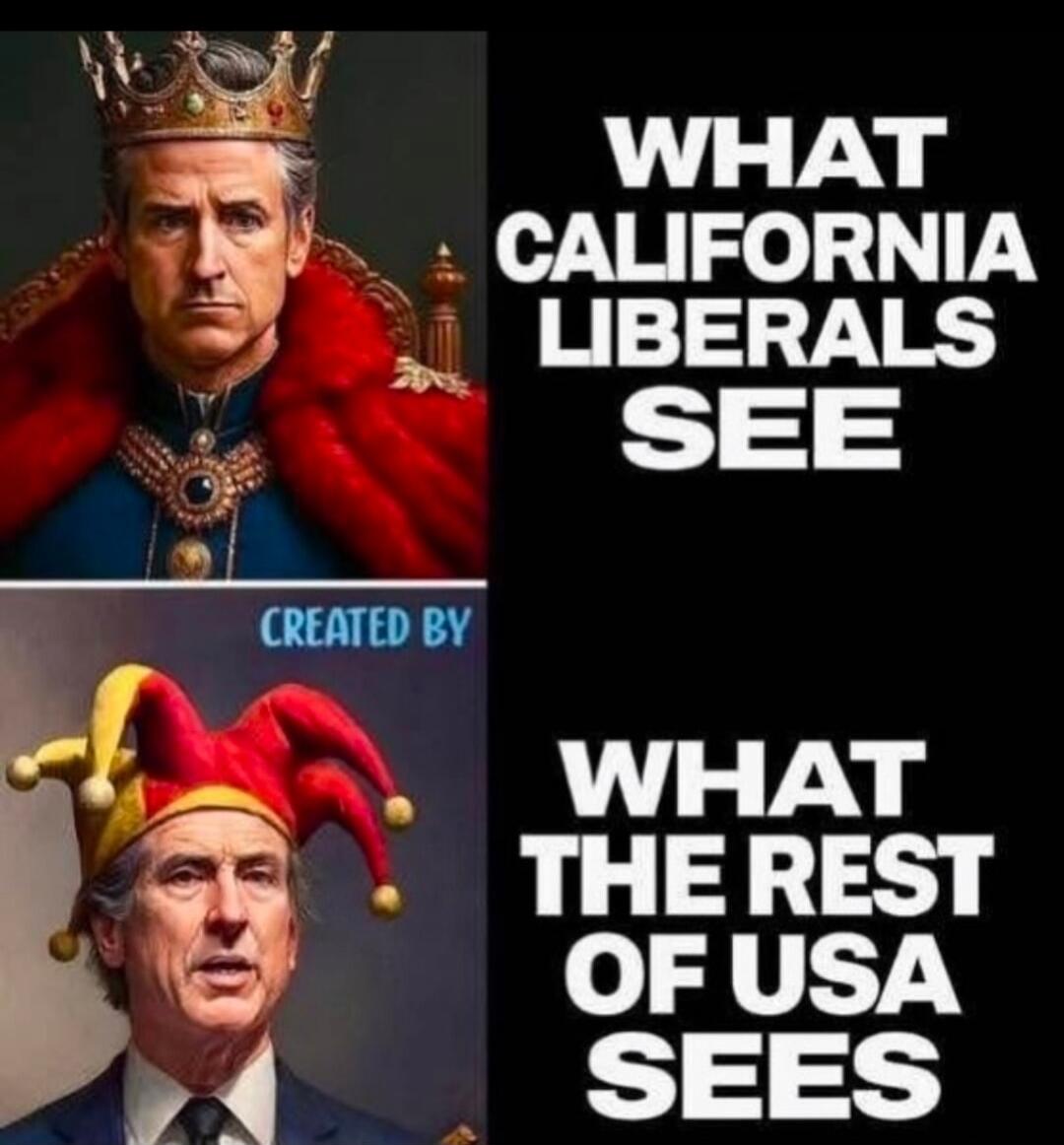WHAT CALIFORNIA LIBERALS SEE CREATED BY WHAT THE REST OF USA SEES