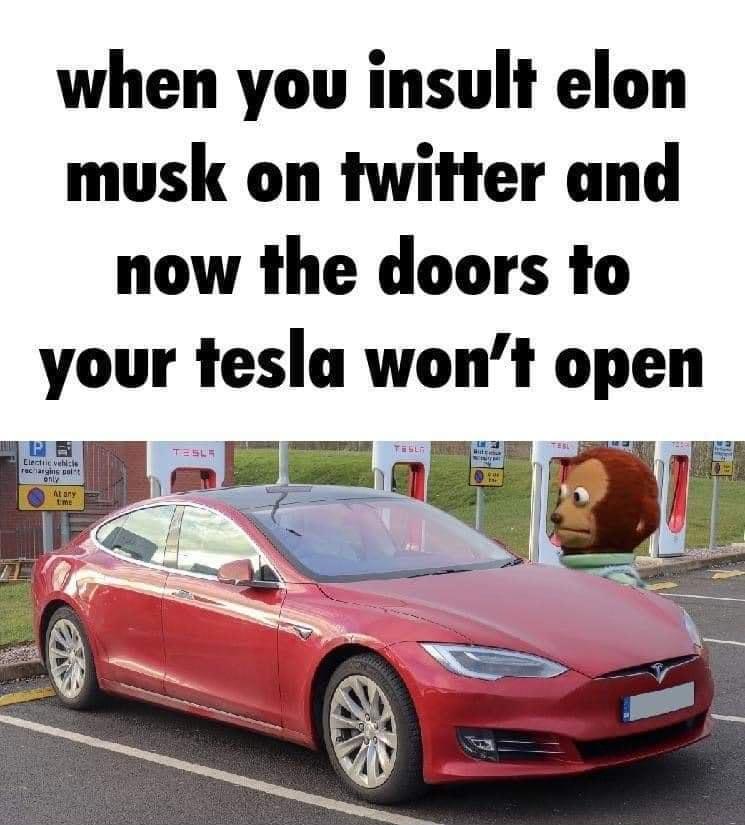 when you insult elon musk on twitter and now the doors to your tesla wont open