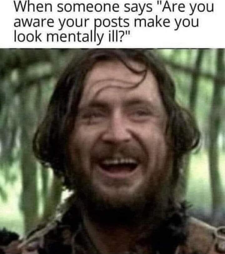 When someone says 'Are you aware your posts make you look mentally ill?'