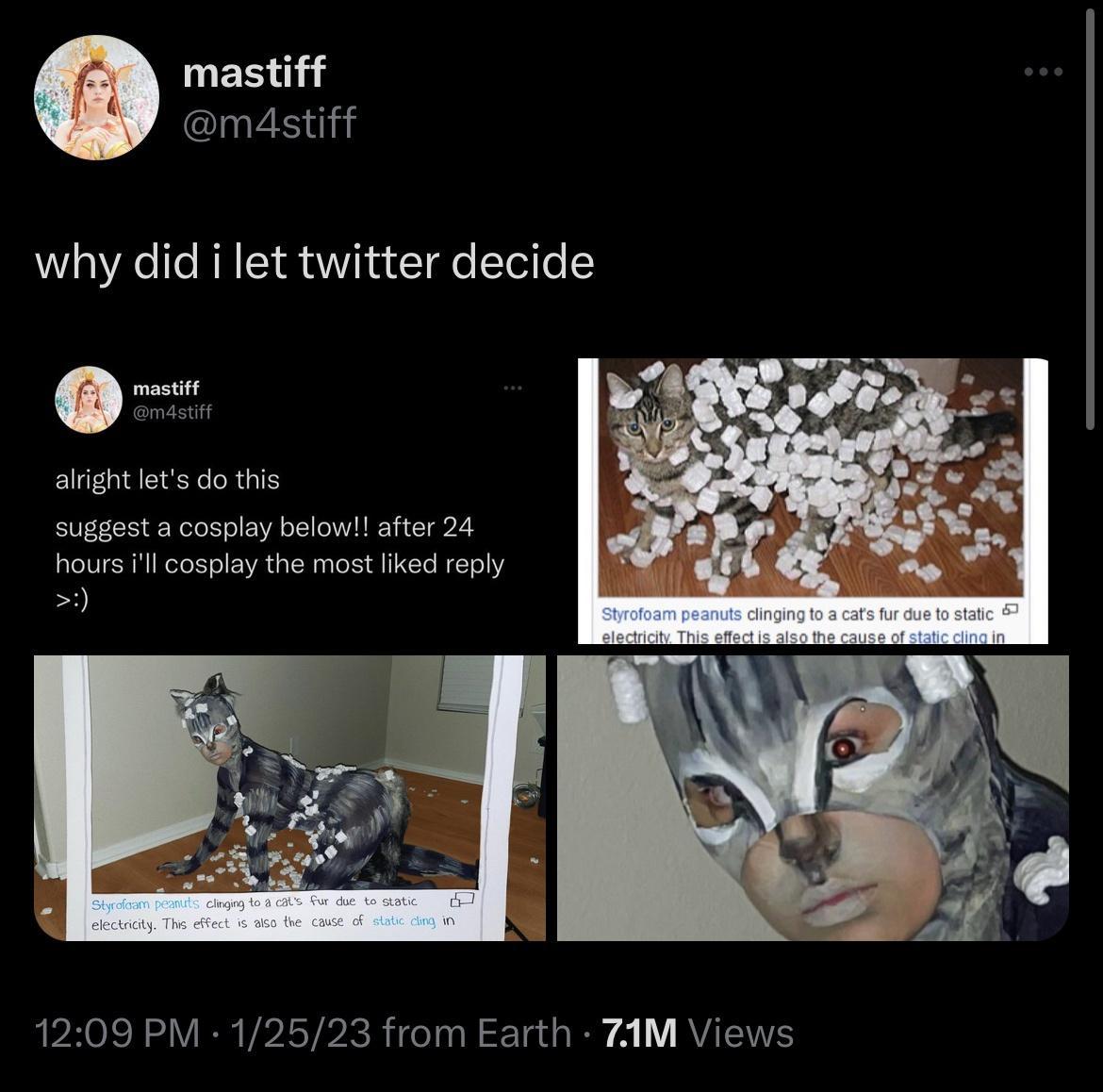 mastiff ytiaig why did i let twitter decide alfght letsdo this suggest a cosplay below after 24 hours i1l cosplay the most ked reply 1209 PM 12523 from Earth 7AM Views