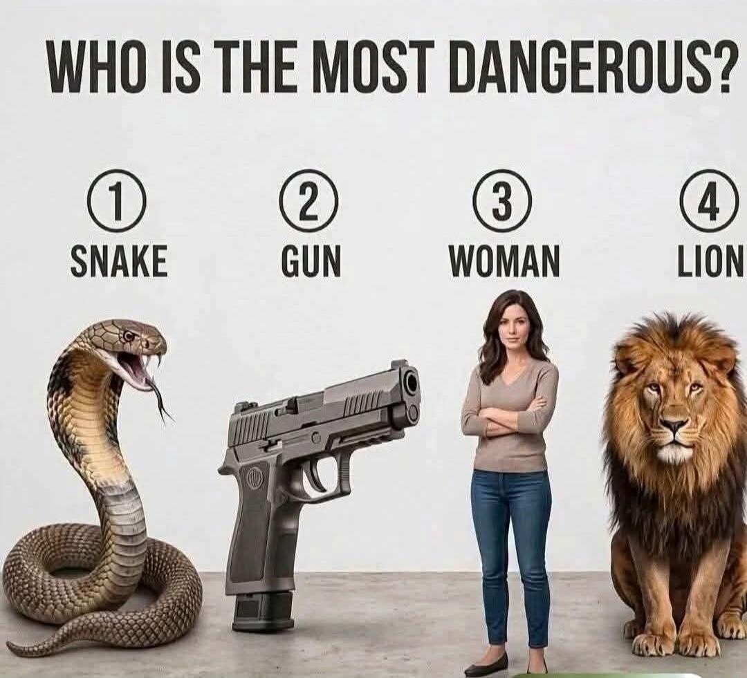 WHO IS THE MOST DANGEROUS? 1 SNAKE 2 GUN 3 WOMAN 4 LION
