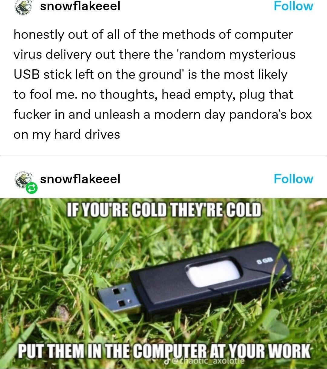 snowflakeeel Follow honestly out of all of the methods of computer virus delivery out there the random mysterious USB stick left on the ground is the most likely to fool me no thoughts head empty plug that fucker in and unleash a modern day pandoras box on my hard drives snowflakeeel Follow L 113 IIllDTIlEYRE Illl c