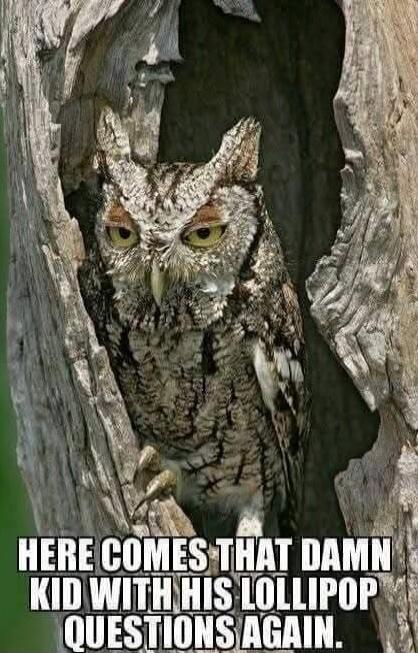 HERE COMES THAT DAMN KID WITH HIS LOLLIPOP QUESTIONS AGAIN.