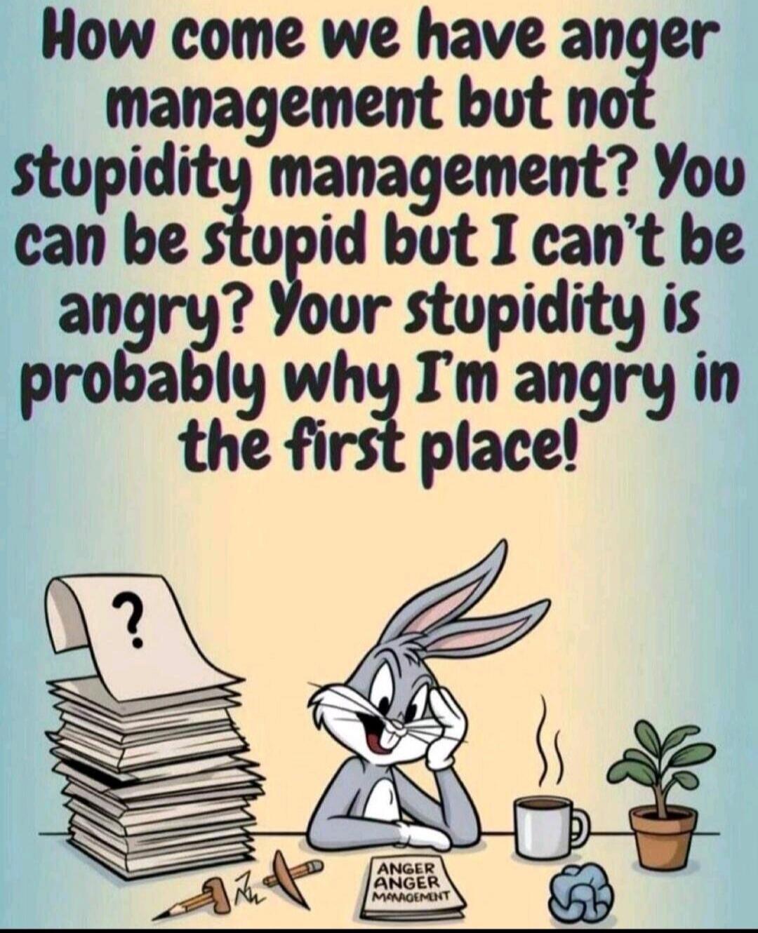 How come we have anger management but not stupidity management? You can be stupid but I can't be angry? Your stupidity is probably why I'm angry in the first place! ANGER ANGER MANAGEMENT