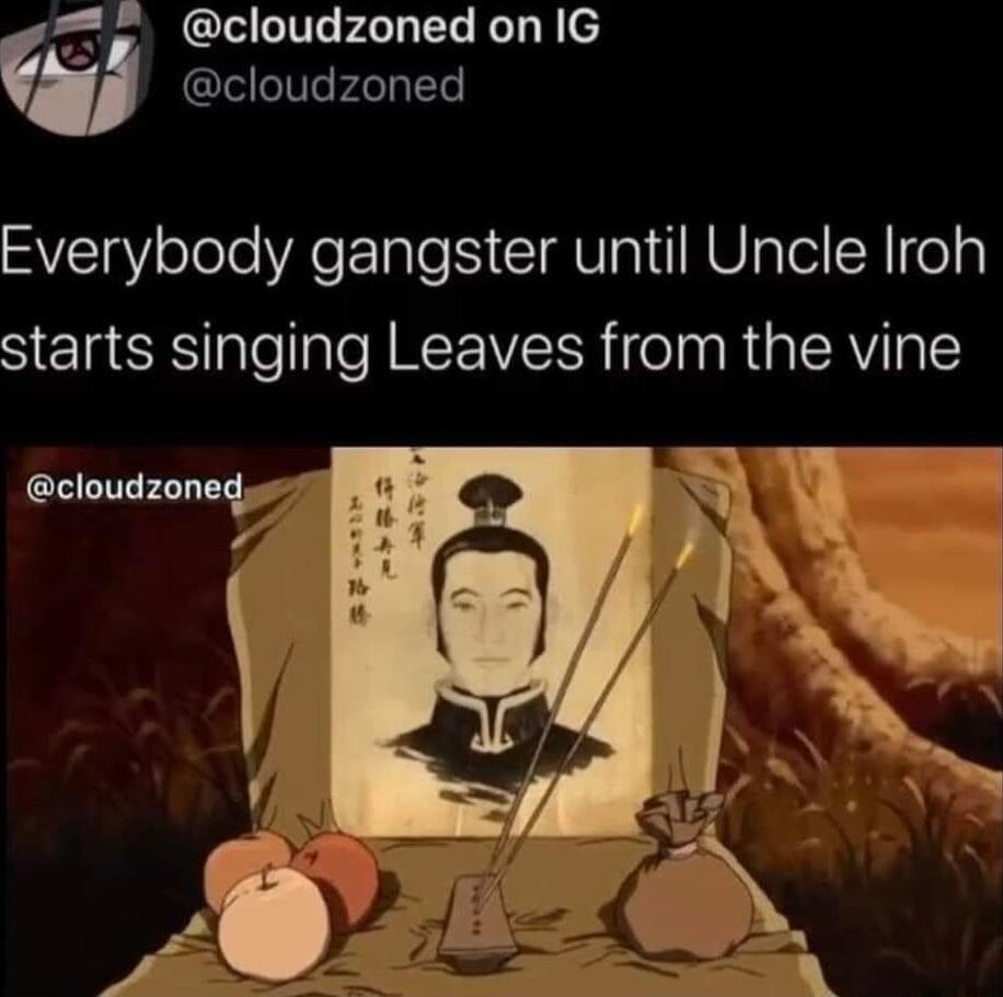 cloudzoned on IG cloudzoned Everybody gangster until Uncle Iroh starts singing Leaves from the vine cloudzonedyes