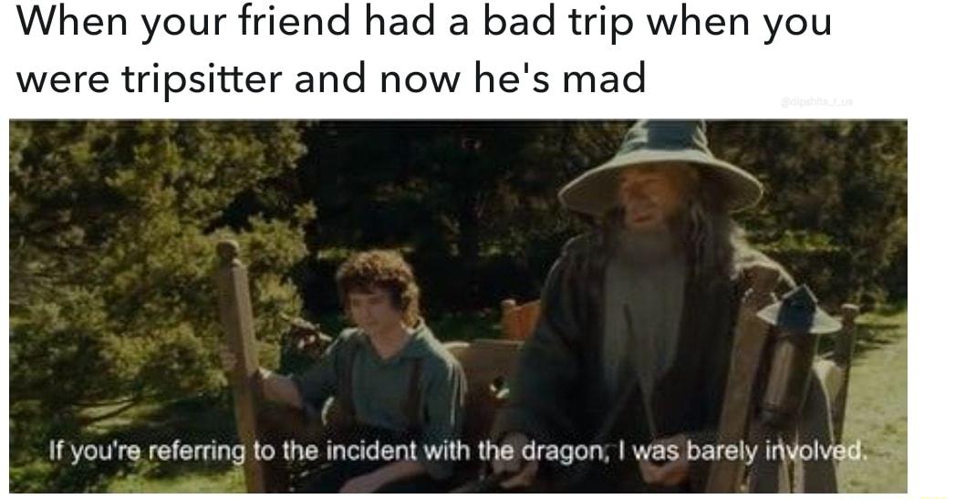 When your friend had a bad trip when you were tripsitter and now hes mad If youre referting to the incident with the dragon was barely ifolvl