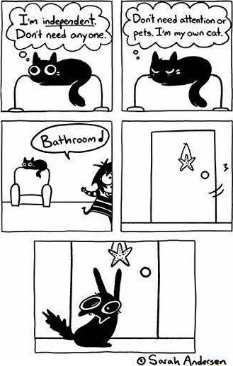 NN T inj_n Dorit need attention or Dont need onyone pets Tm my own cat SR