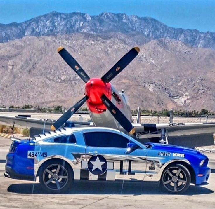 CRAZY HORSE P-51D 484745 LL