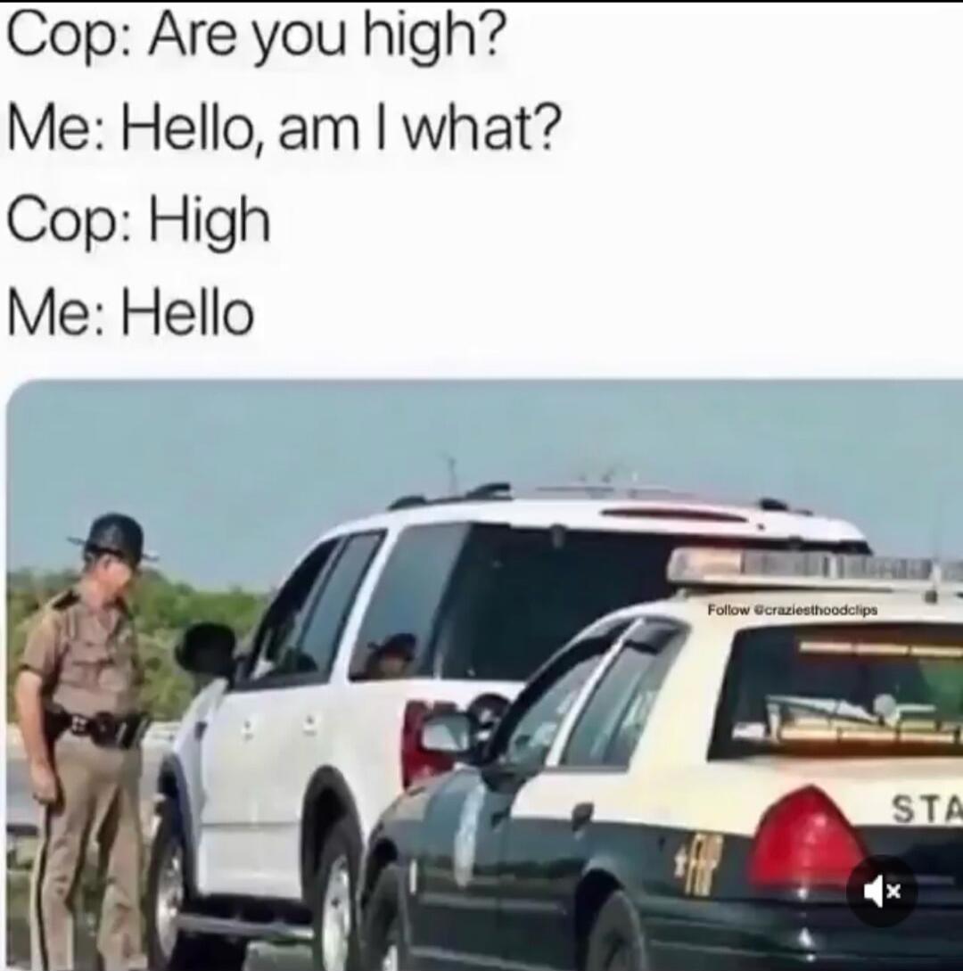 Cop: Are you high? Me: Hello, am I what? Cop: High Me: Hello