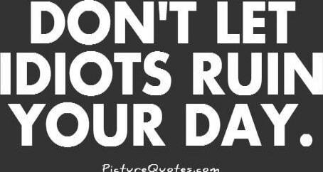 DON'T LET IDIOTS RUIN YOUR DAY.
