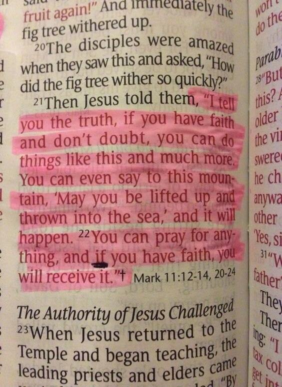 I tell you the truth, if you have faith and don't doubt, you can do things like this and much more. You can even say to this mountain, 'May you be lifted up and thrown into the sea,' and it will happen. You can pray for anything, and if you have faith, you will receive it.