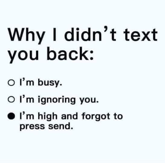 Why didnt text you back O Im busy O Im ignoring you Im high and forgot to press send