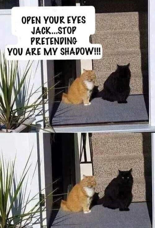 OPEN YOUR EYES JACK...STOP PRETENDING YOU ARE MY SHADOW!!!