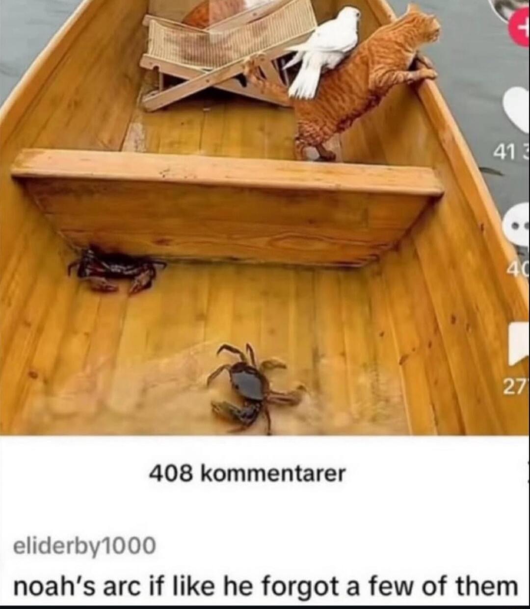 408 kommentarer eliderby1000 noah's arc if like he forgot a few of them