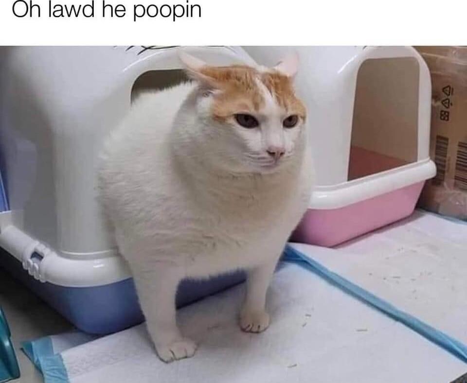 Onh lawa he poopin